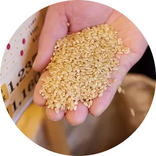 手に乗せたお米