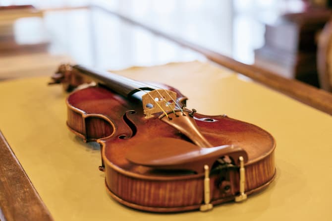 商品バイオリンン